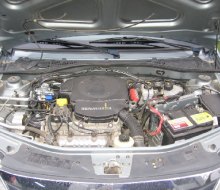 daci-logan-022.jpg