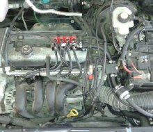 ford-puma-2.jpg